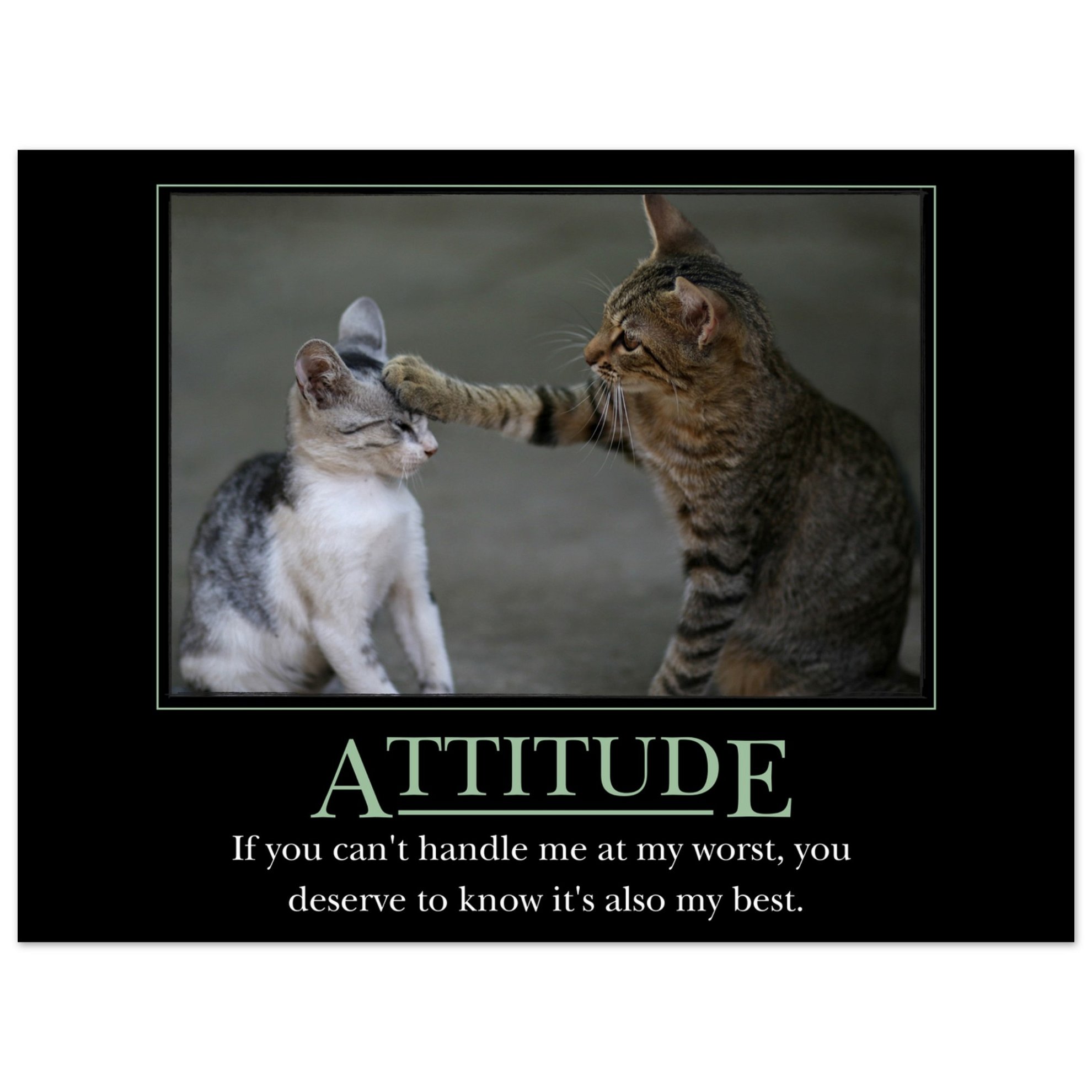 Attitude Demotivational Poster