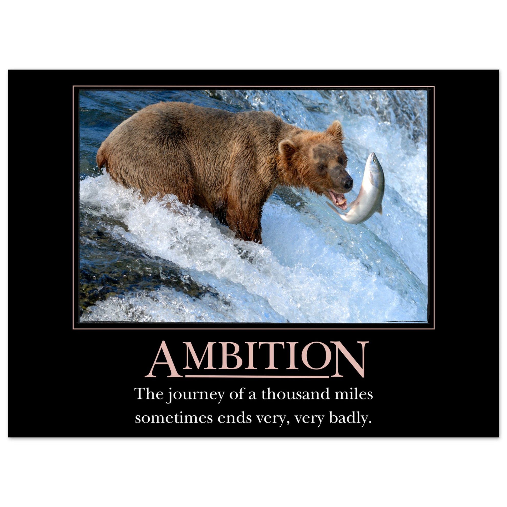 Ambition Demotivational Poster: Embrace Life's Humour